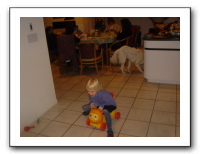 Ranch 12-04 016