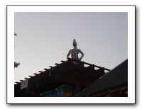 2003-06-09 013