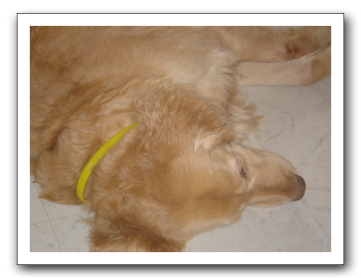 2004-03-02 David 002