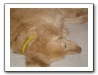 2004-03-02 David 002
