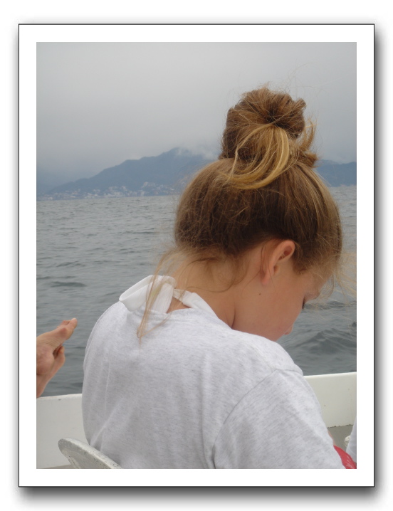 Puerto Vallarta 135