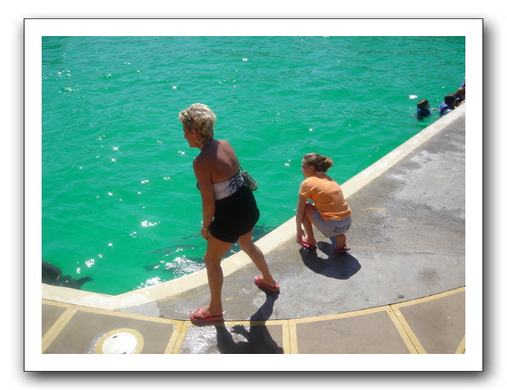 Puerto Vallarta 180