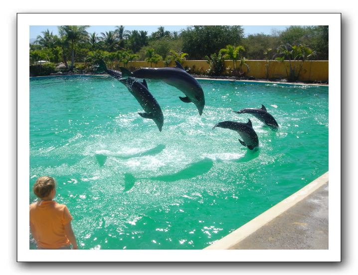 Puerto Vallarta 182