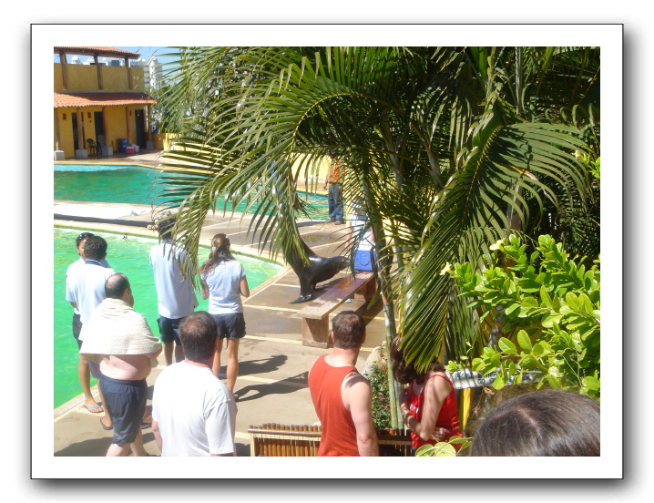 Puerto Vallarta 195