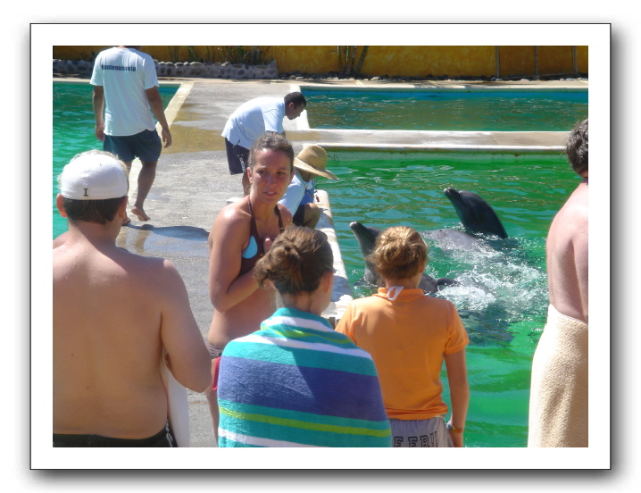 Puerto Vallarta 198