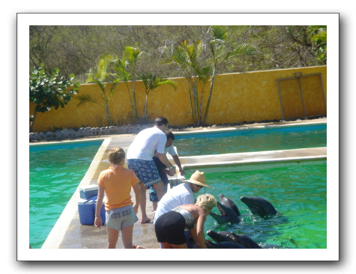 Puerto Vallarta 205