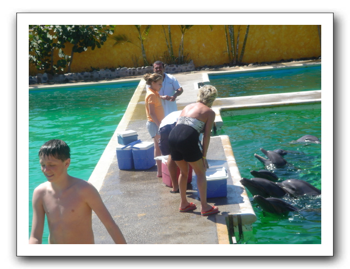 Puerto Vallarta 208