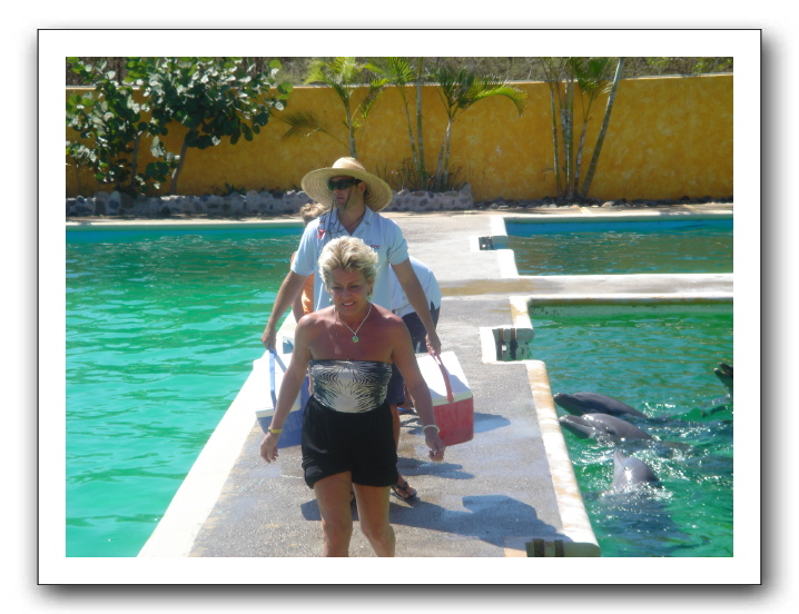 Puerto Vallarta 209
