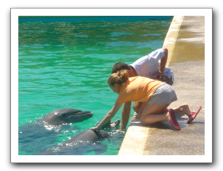 Puerto Vallarta 214