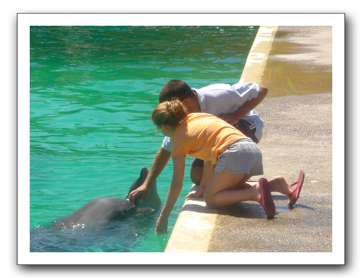 Puerto Vallarta 216