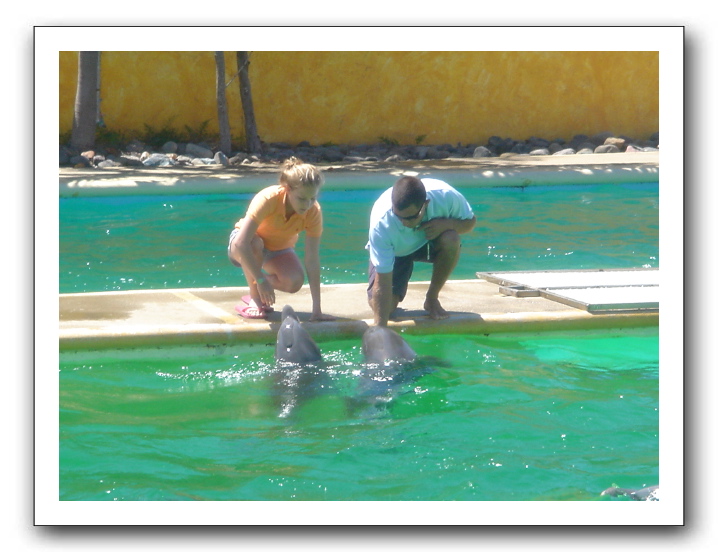 Puerto Vallarta 217