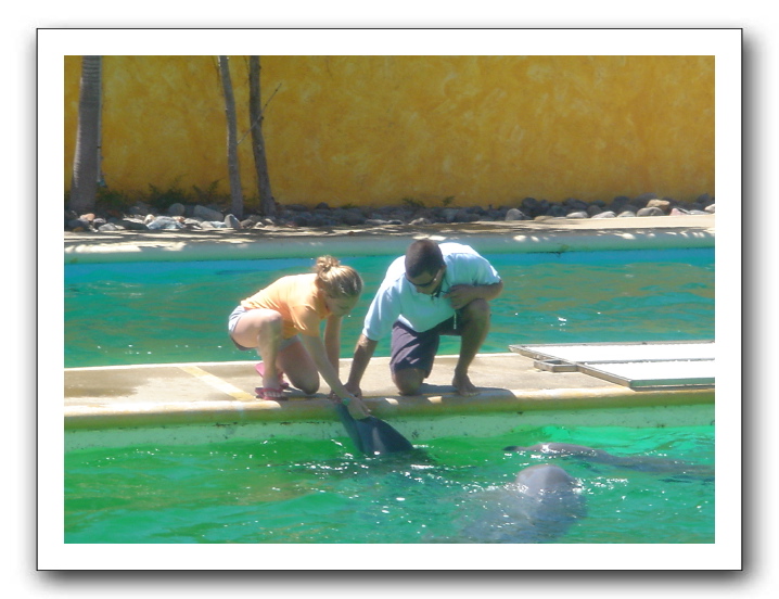 Puerto Vallarta 218