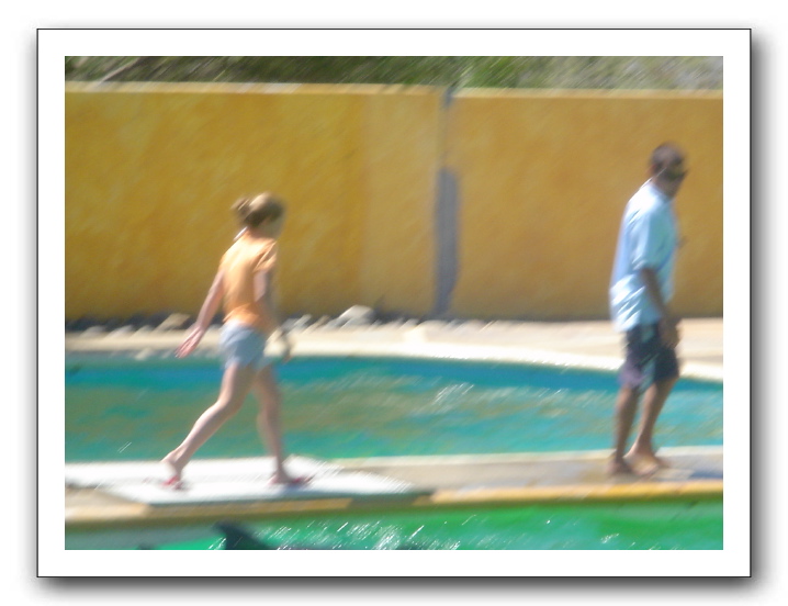 Puerto Vallarta 219