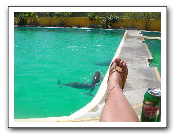 Puerto Vallarta 225