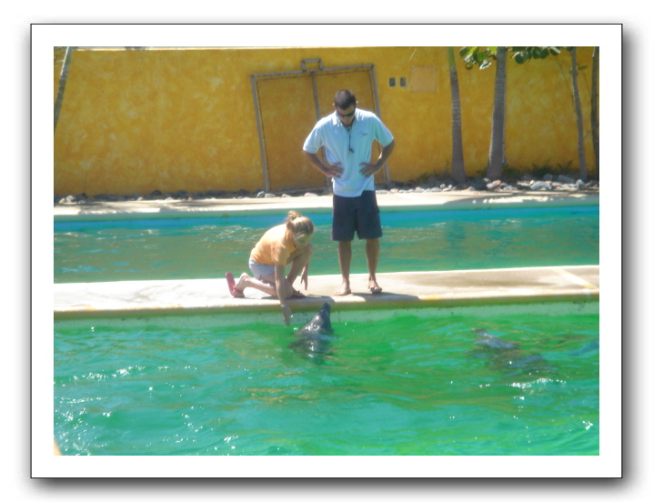 Puerto Vallarta 226