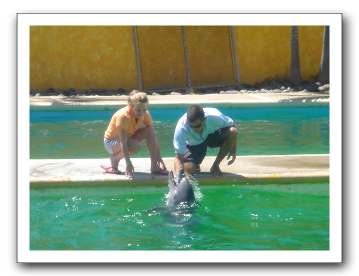 Puerto Vallarta 227