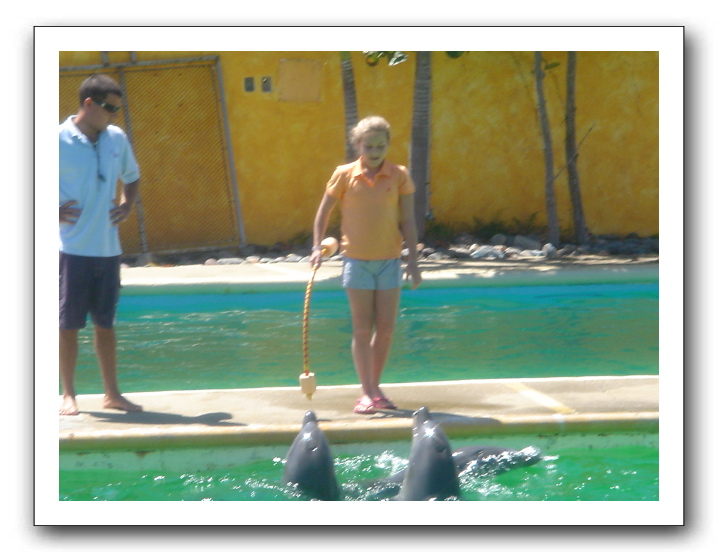 Puerto Vallarta 228