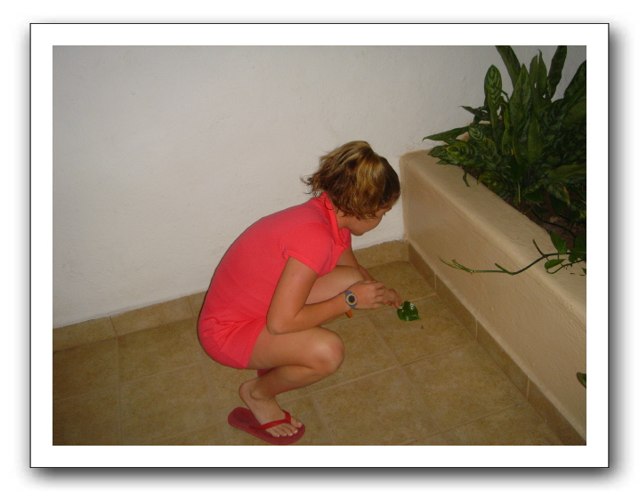Puerto Vallarta 028