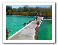 Puerto Vallarta 178