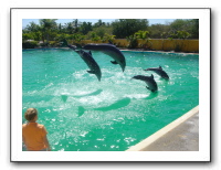 Puerto Vallarta 182