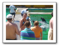 Puerto Vallarta 198