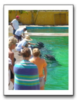 Puerto Vallarta 199