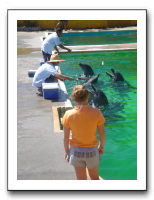 Puerto Vallarta 200