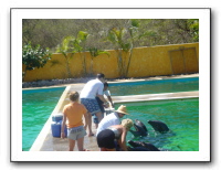 Puerto Vallarta 205