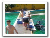 Puerto Vallarta 208