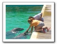 Puerto Vallarta 214