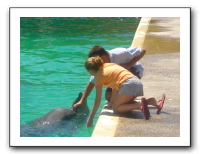 Puerto Vallarta 216