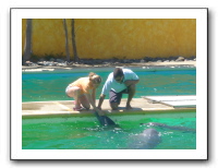 Puerto Vallarta 218