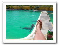 Puerto Vallarta 225