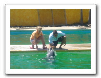 Puerto Vallarta 227