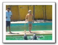 Puerto Vallarta 228