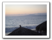 Puerto Vallarta 238