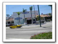 Puerto Vallarta 303