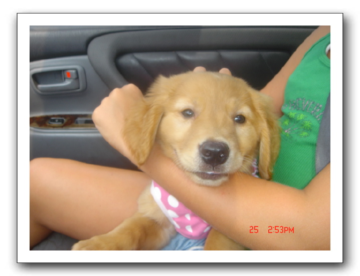 Jamie's Roadtrip 255