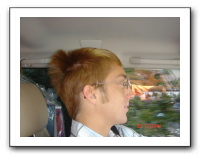 Jamie's Roadtrip 199