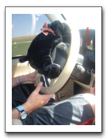 Jamie's Roadtrip 239
