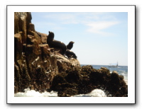 Cabo 06 325