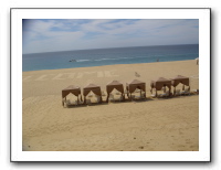 Cabo 06 386