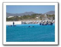 Cabo 06 141