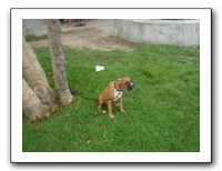 LA 2006 157