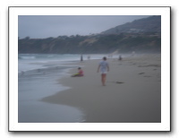 LA 2006 041