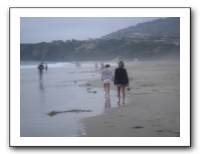 LA 2006 044