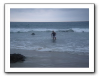 LA 2006 059