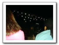 Willie Nelson Concert 08-06 013