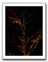 Holiday Party 2006 001