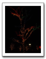Thanksgiving 2006 131